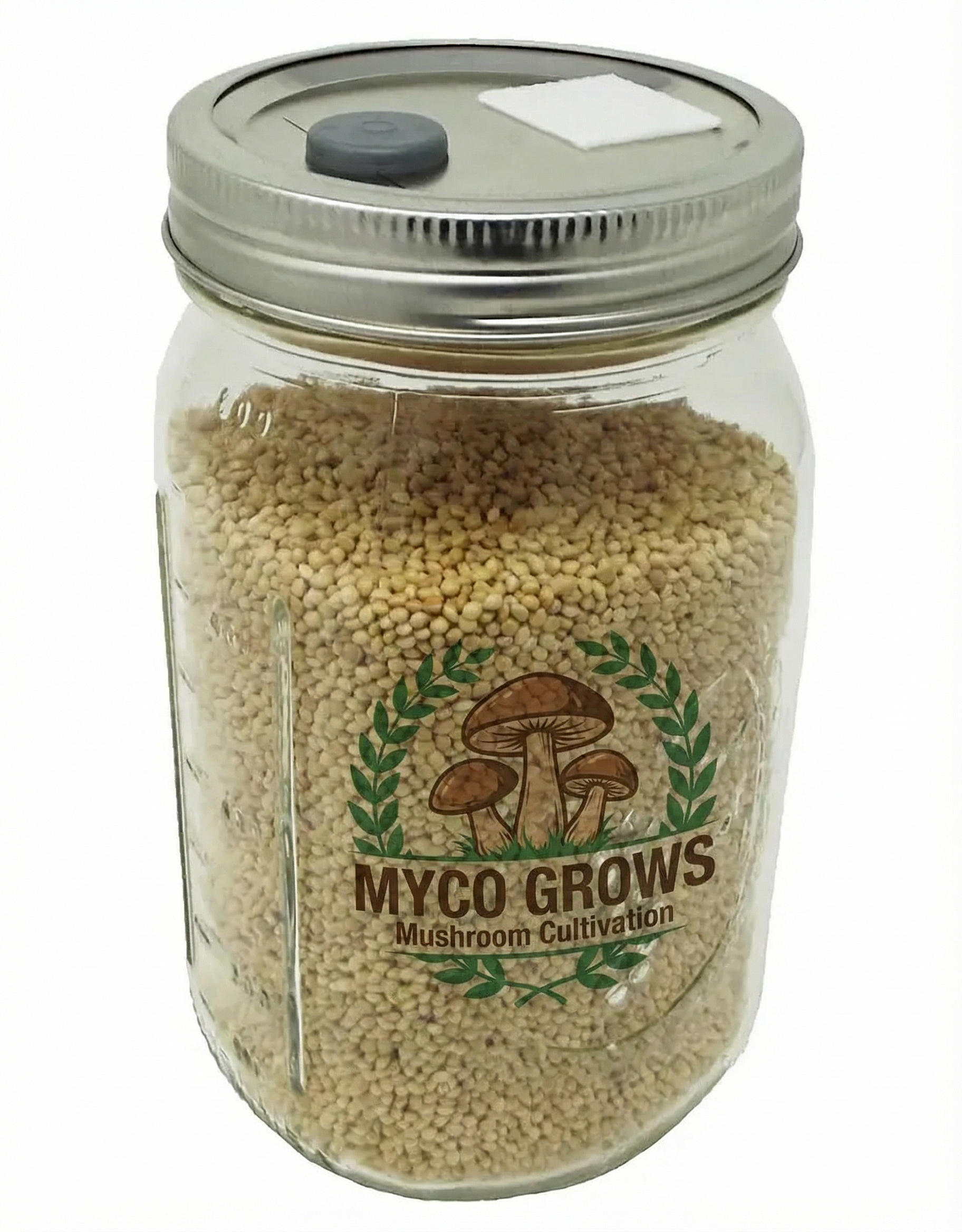 Grain Jars for Mushroom Growing